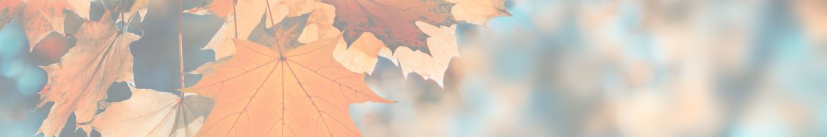 Fall Leaves on a tree