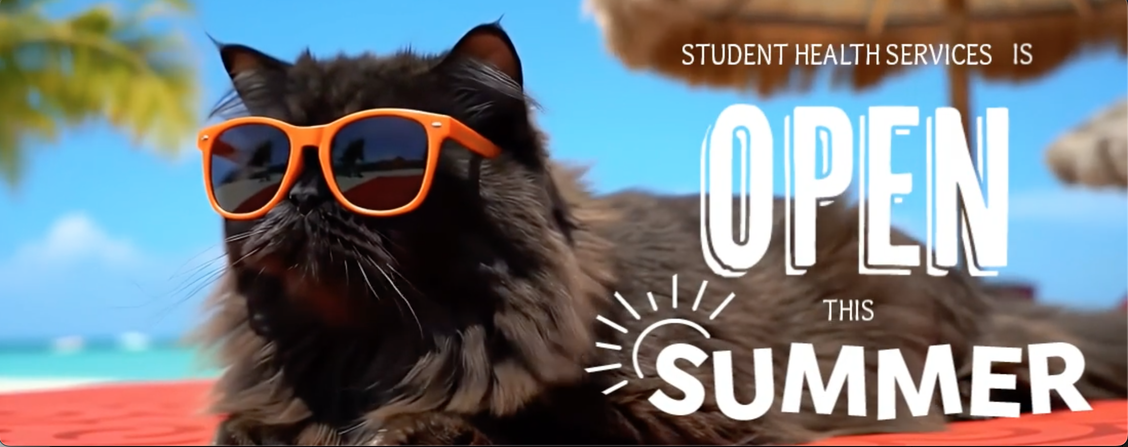 cat on beach with sunglasses, text overlay reads: SHS is Open this summer.